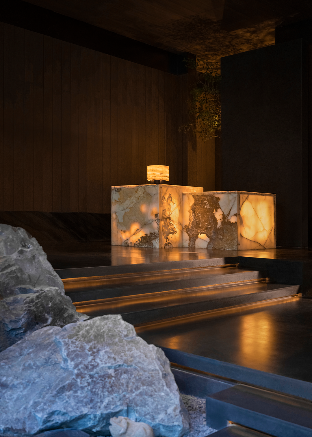 新作 自然之下的无界洄游丨紫香舸-18