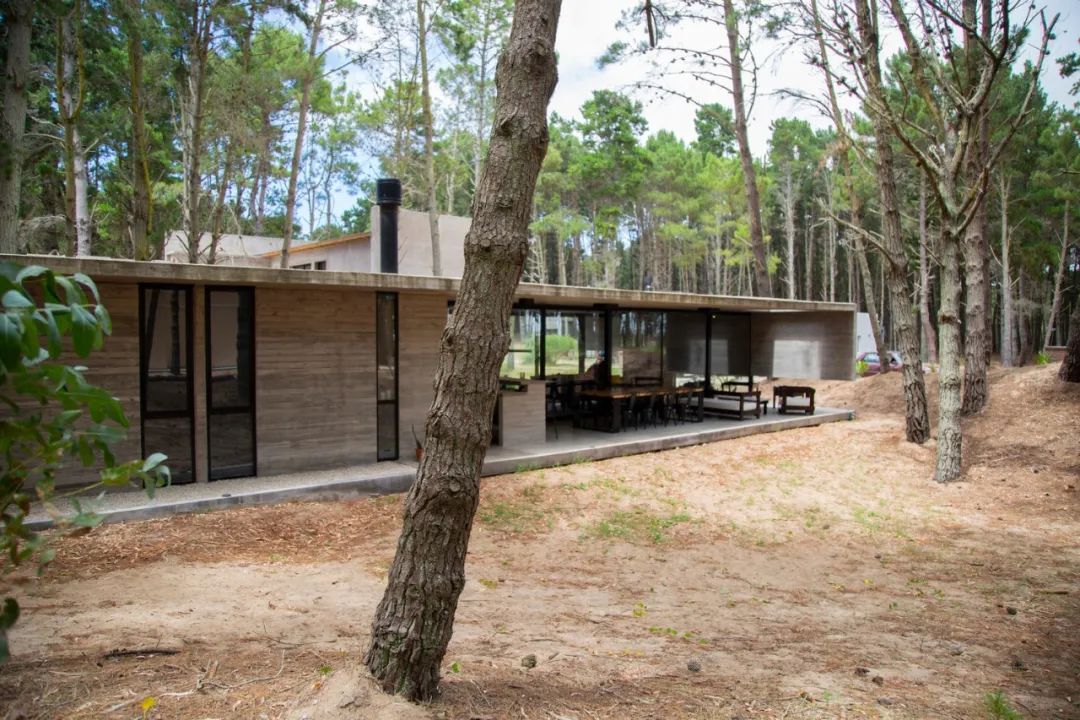 阿根廷 195m²森林避暑别墅丨GGH 设计机构-30