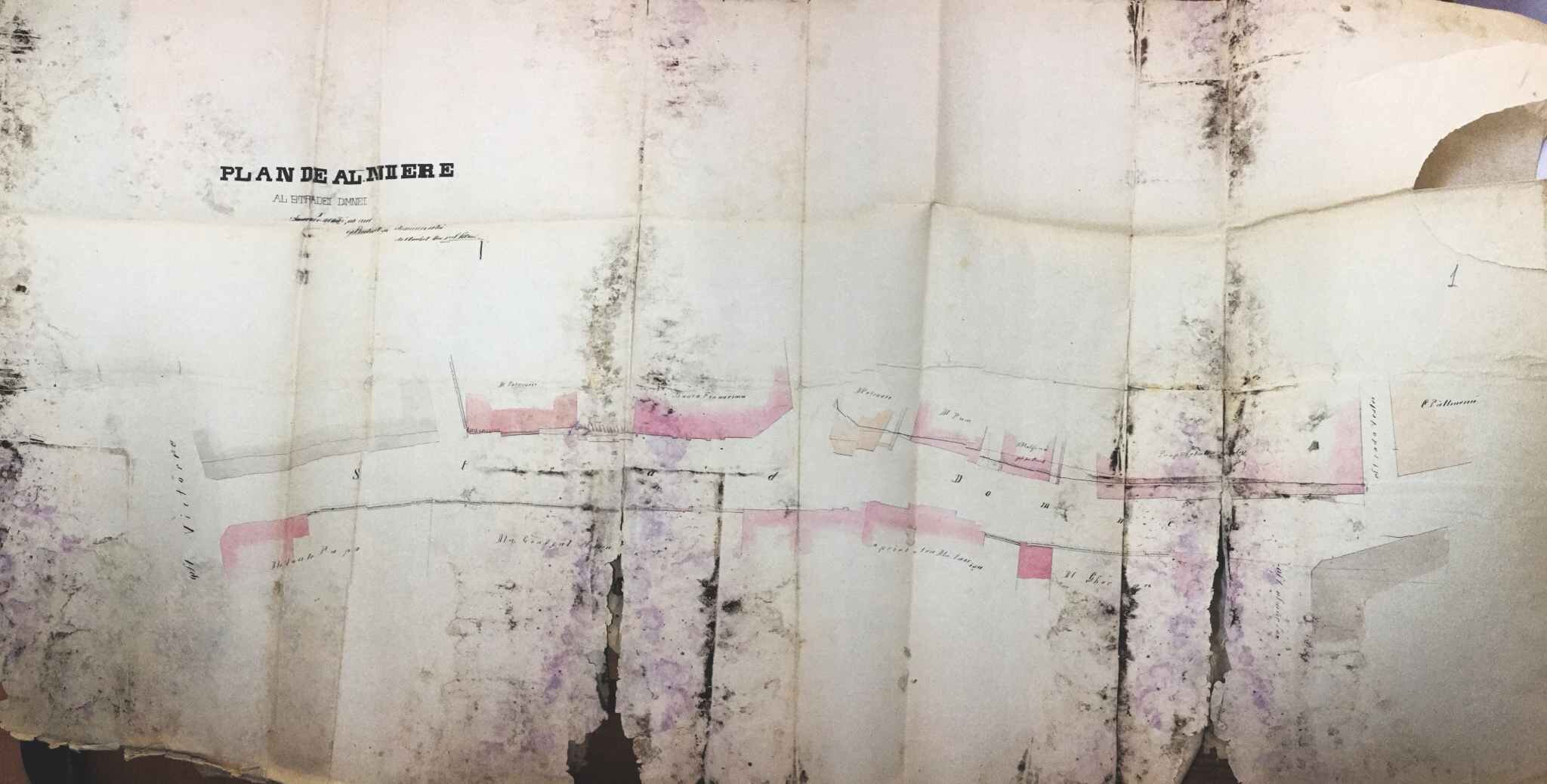 Blanduzia花园相关建筑演变项目丨罗马尼亚布加勒斯特丨Carol Benisch,Camil Sarvasy等-3