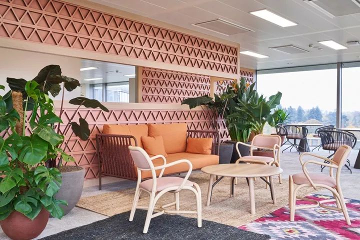 日内瓦 GAVI 办公室设计展现多样性与温暖-4