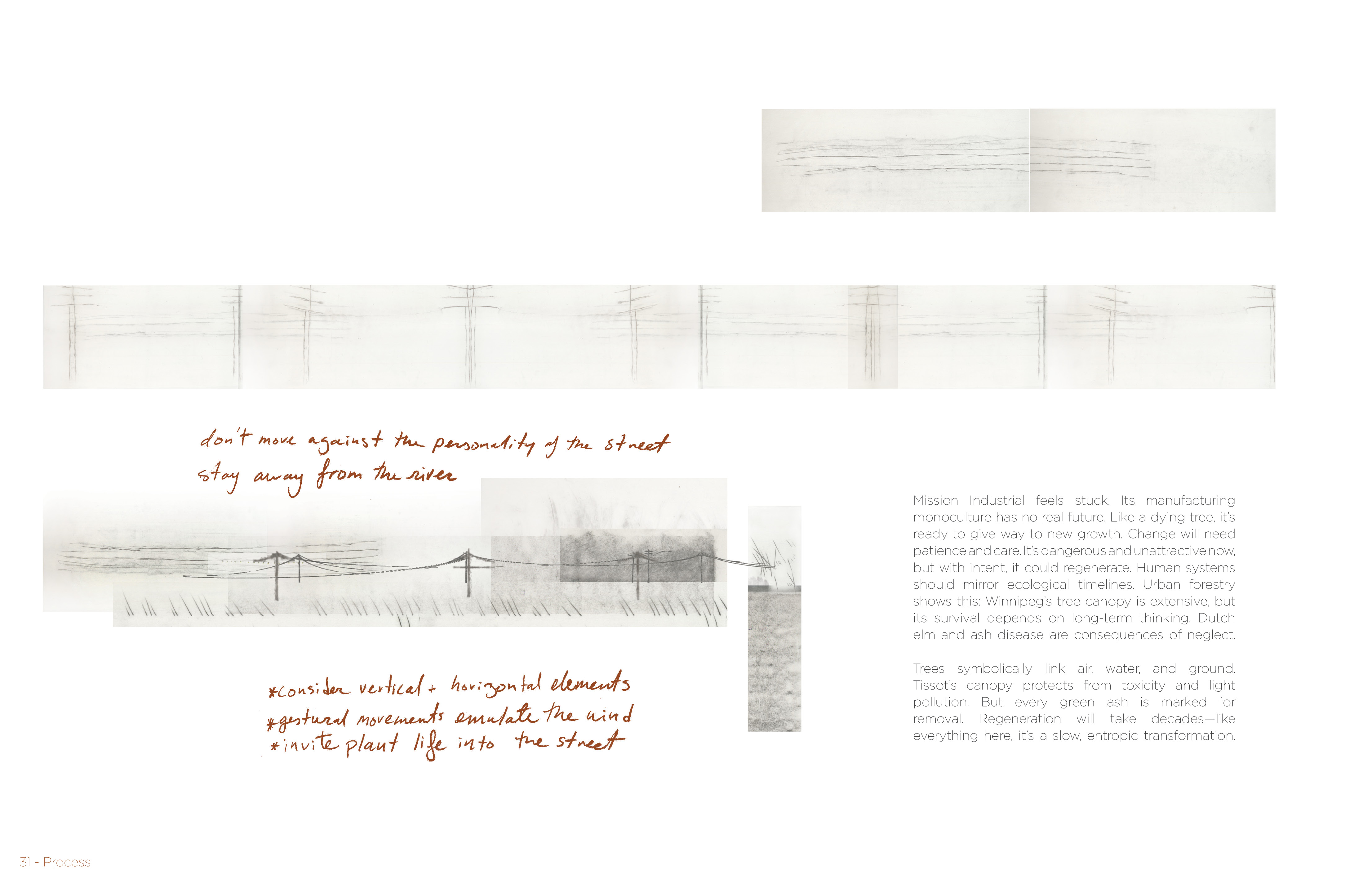 Lights on Tissot that Look Down and Remember the Trees-12