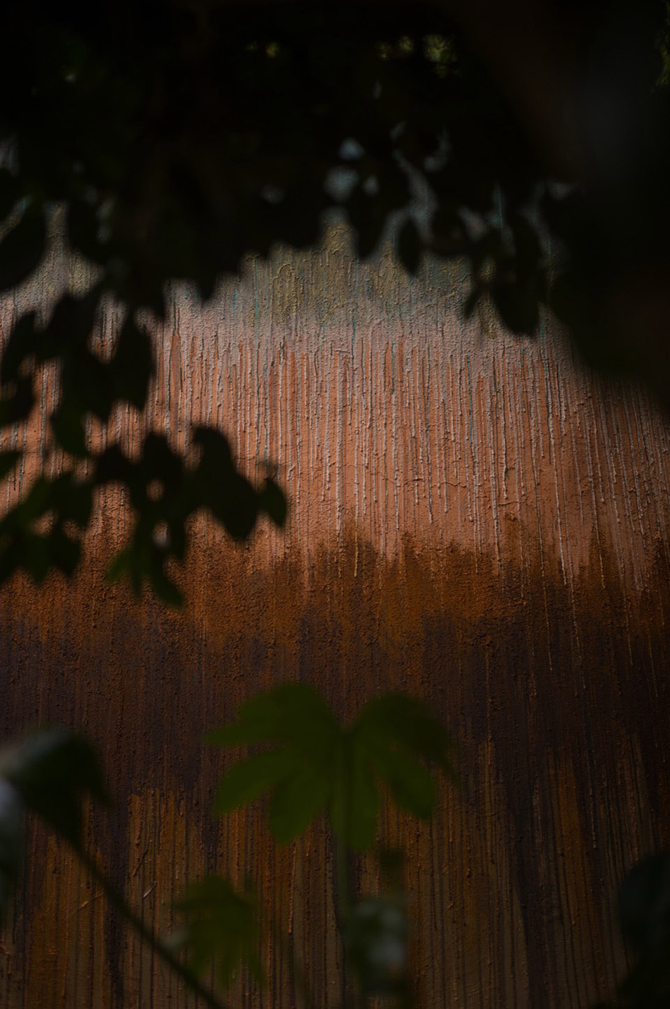 埴安之家丨日本神奈川-26