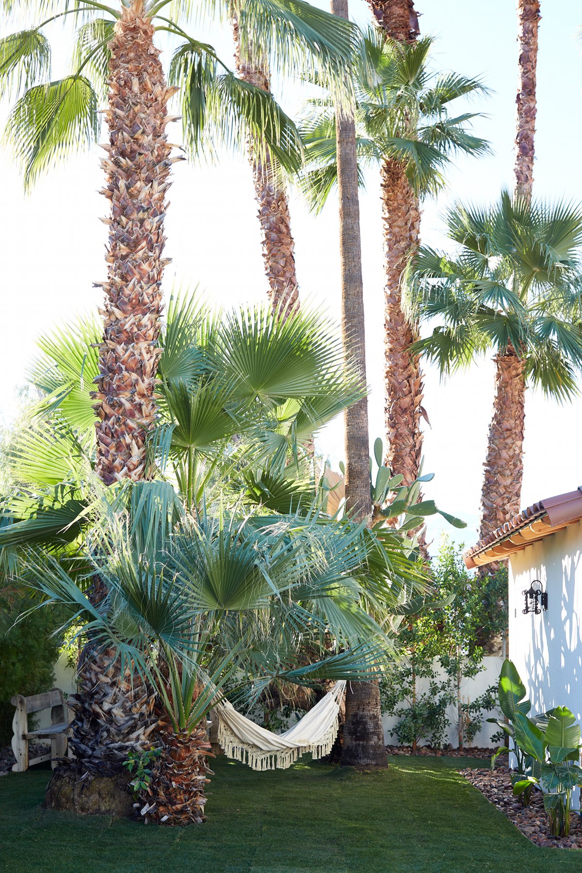 西班牙复兴式住宅丨Brittny Button,Tanya Stone-10