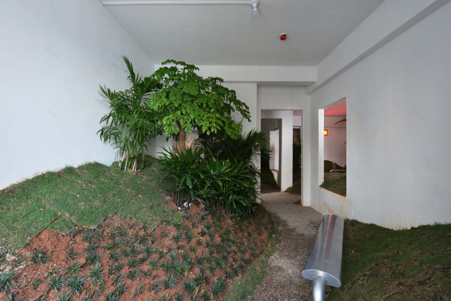 Devolution Park / Devolution-31