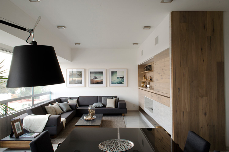 墨西哥城 2012 年建 2346 平方英尺现代住宅设计-6