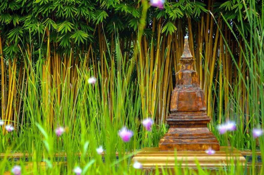 泰国清迈豪伊的生态度假村,Howie’s Homestay 丨泰国丨bensley-22