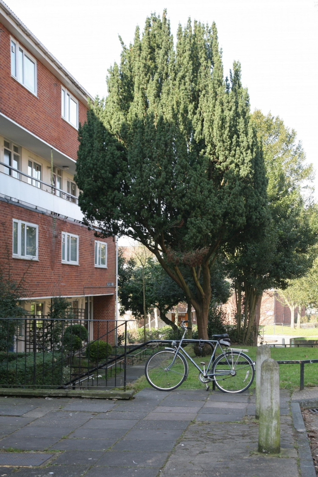 伦敦阿尔顿住宅区丨英国伦敦丨伦敦郡议会建筑部门两组建筑师-18