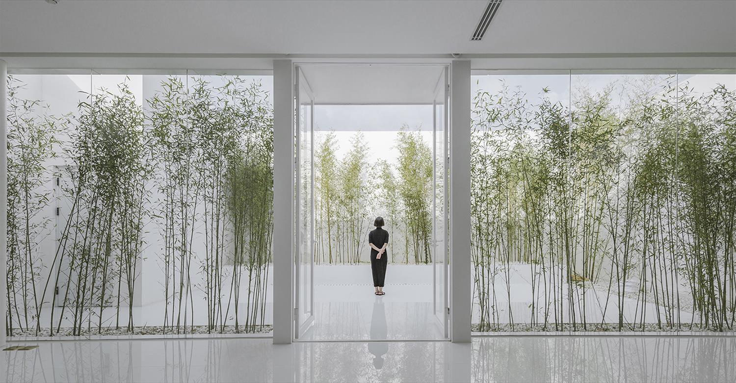 竹林天台 | 商业空间的自然之美-5