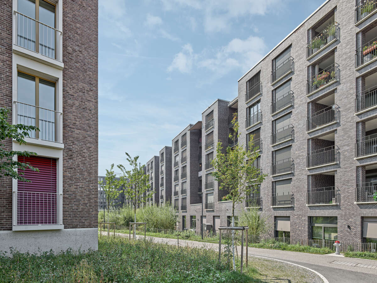 «Libellenhof» Areal Dietlimoos-Moos (Baufeld B1), Adliswil — Züst Gübeli Gambetti-10