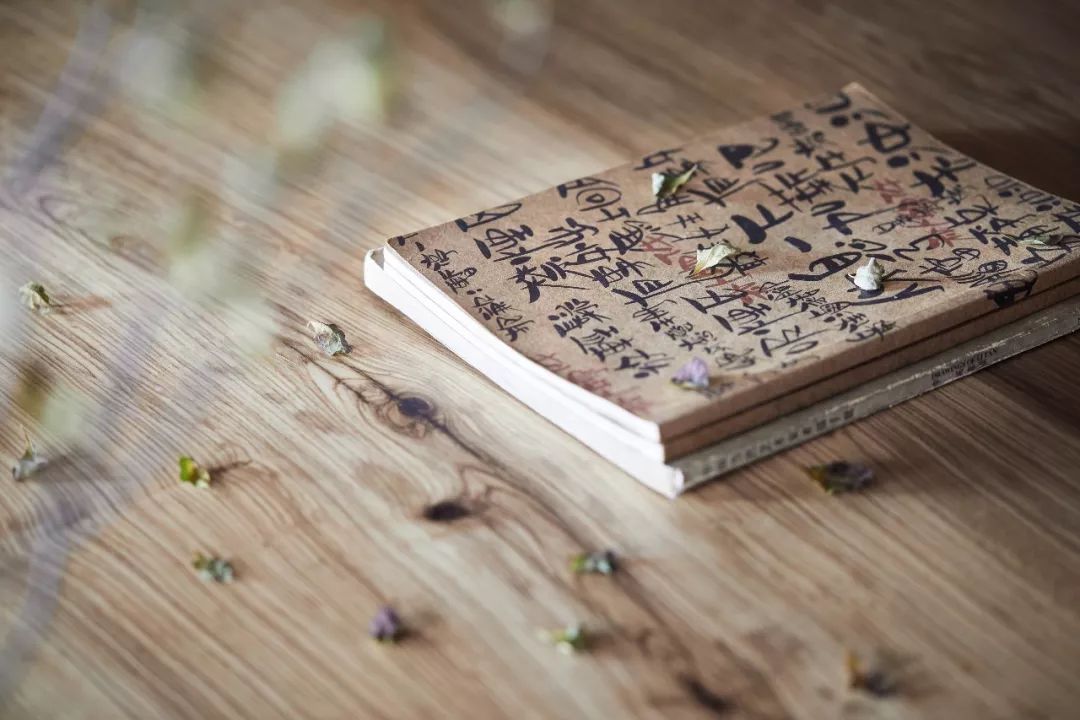 暖灰空间 | ML·罗宅的和谐自然之美-1