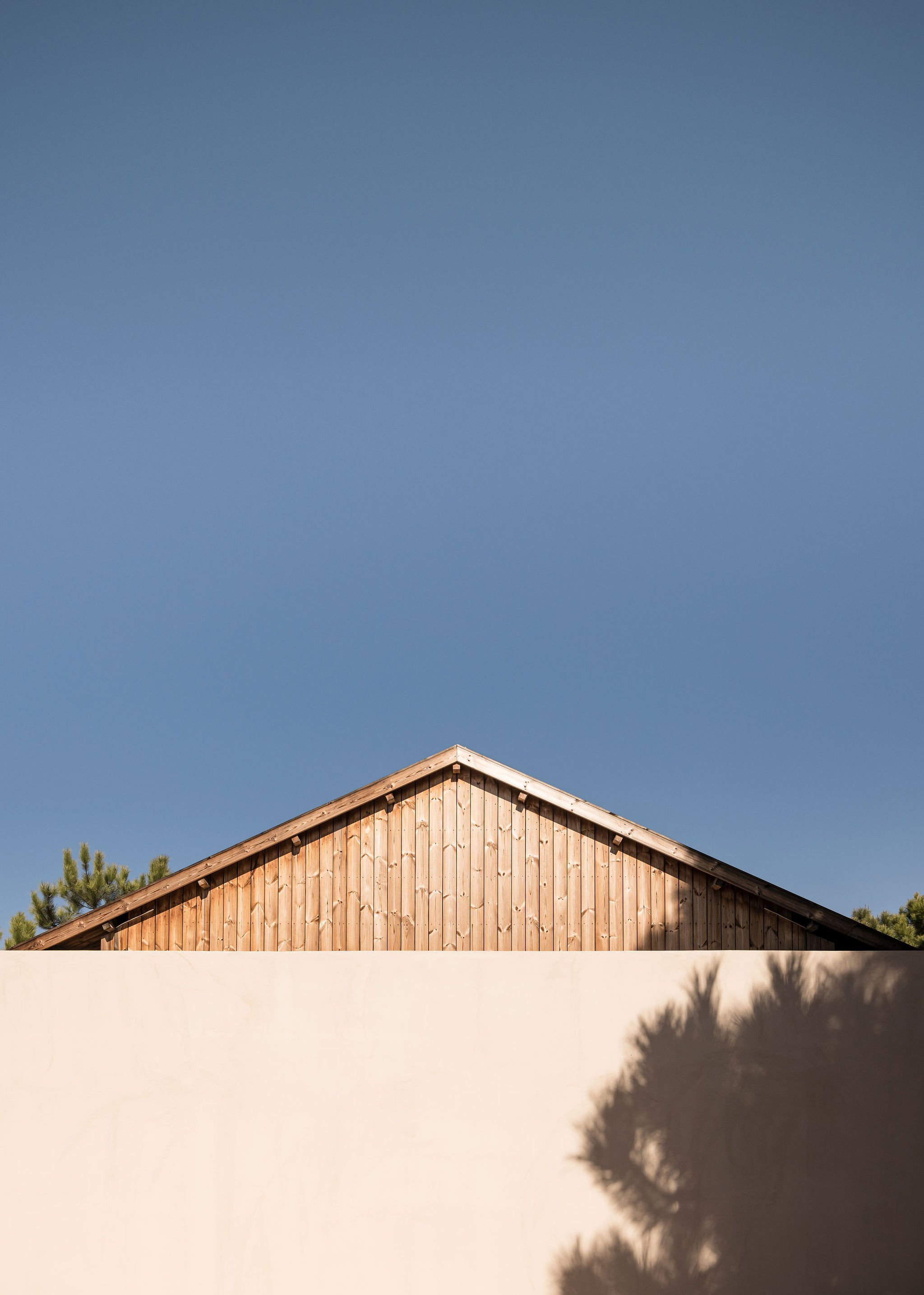 山坡房屋丨英国丨SIA arquitectura-12