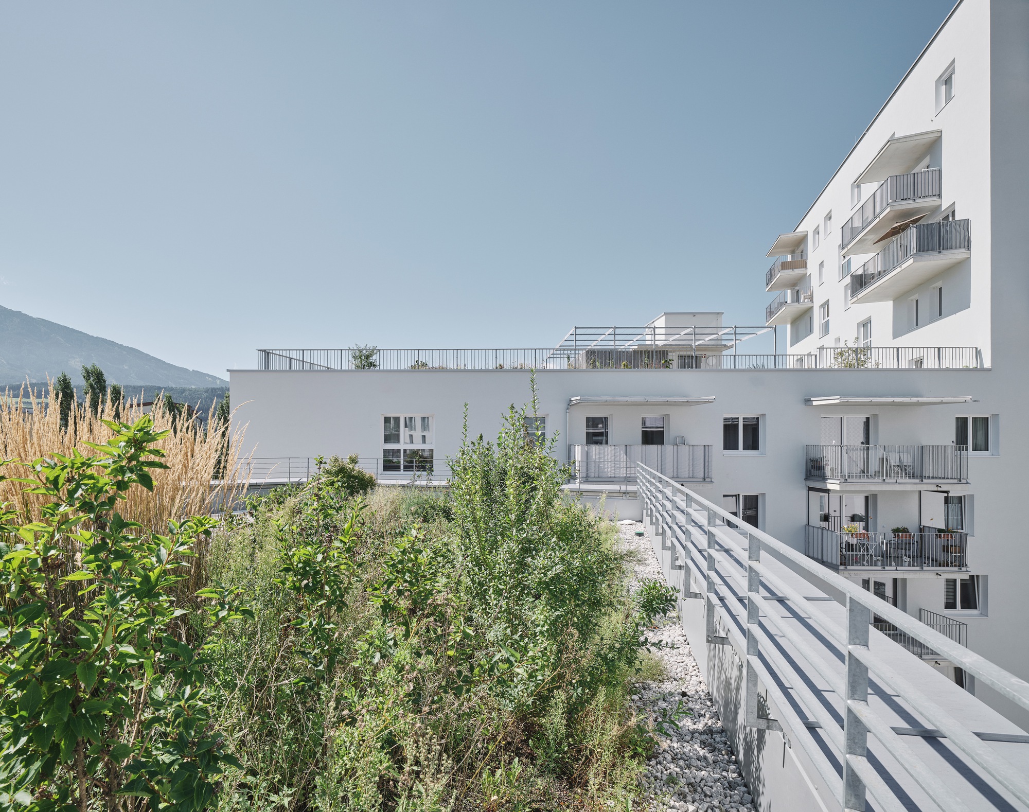 因斯布鲁克乡村丨奥地利丨bogenfeld Architektur-41