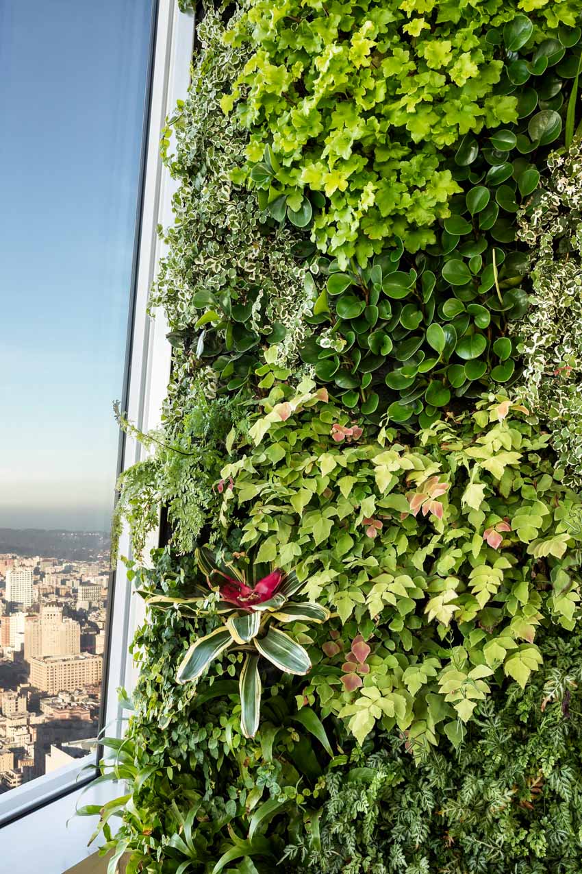 Salesforce Tower办公楼柱体绿化景观设计丨美国丨Habitat Horticulture景观设计公司-17