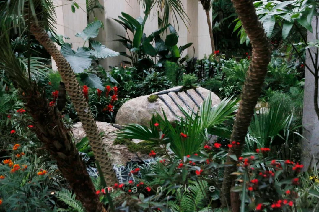 仲夏夜之梦 · 莎士比亚灵感的花园设计丨中国深圳丨Sarah Eberle(英国)-49