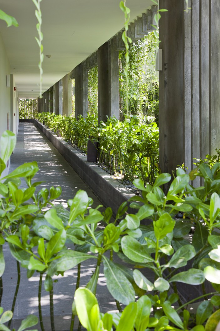 Naman The Babylon | VTN3-4