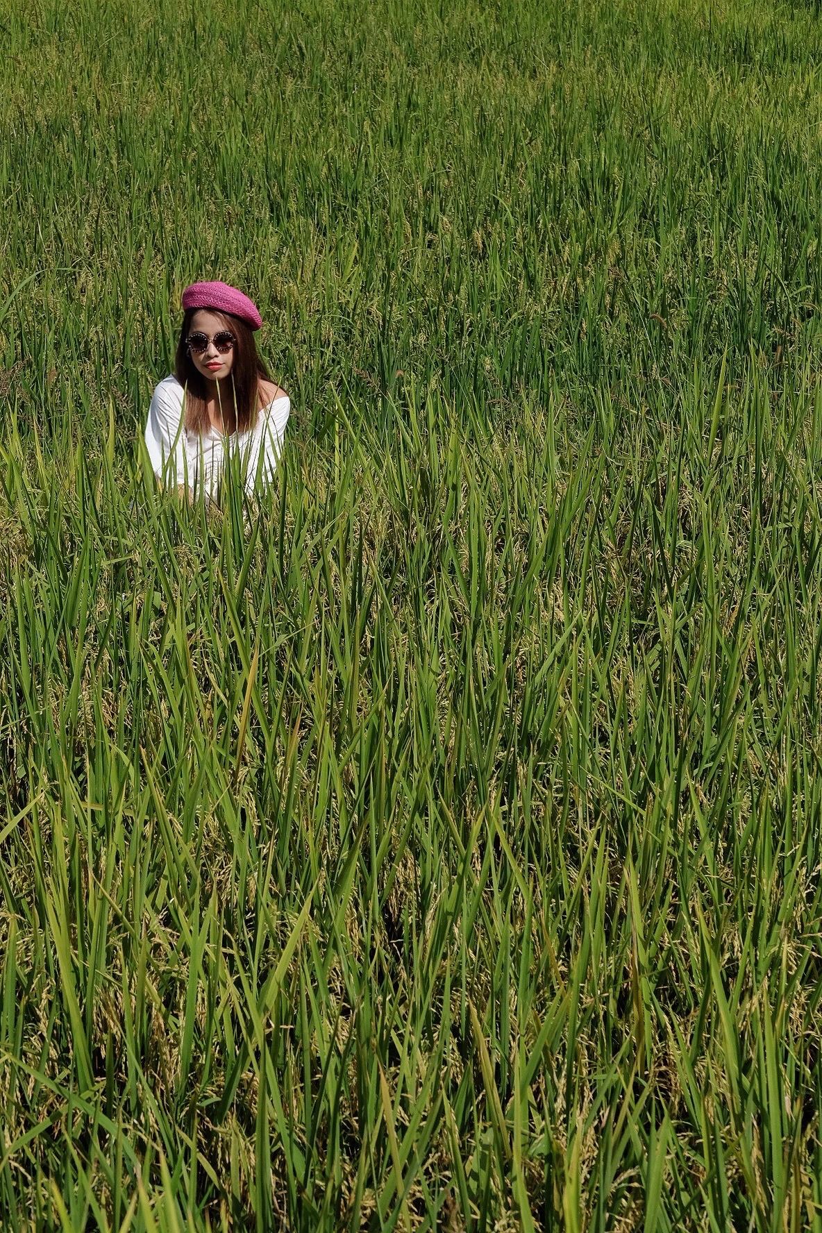 重庆飞茑集 | 睡入云端,尽享清凉山城田园生活-48