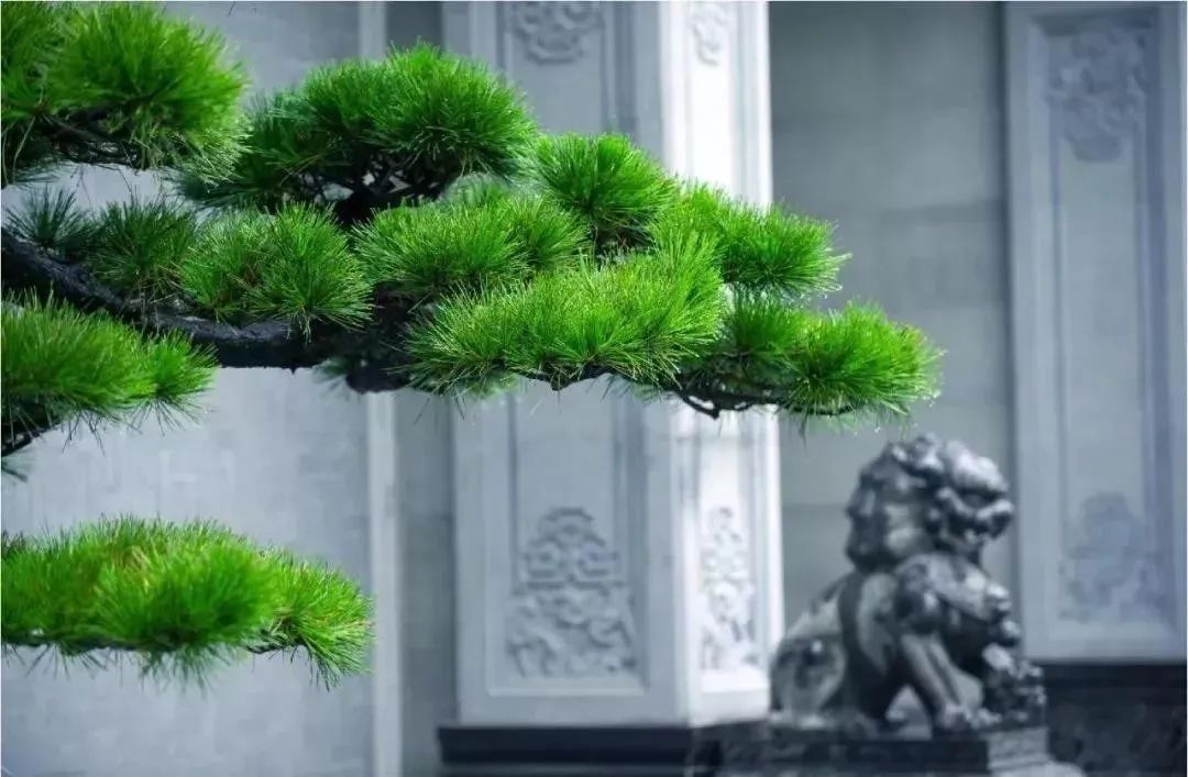 中式庭院之美 | 细节诠释匠心-75