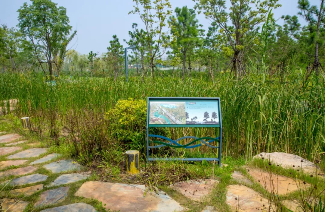 常州三江口公园-20