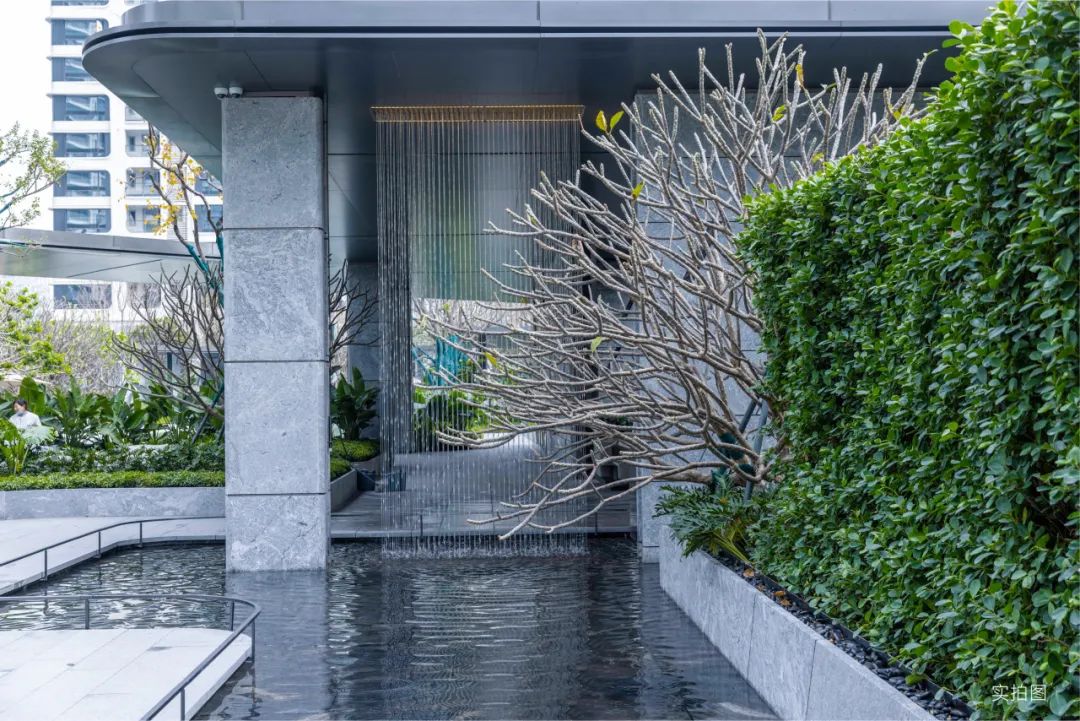 深圳太子湾招商玺，打造世界滨海生活范本丨2025春日大赏-88