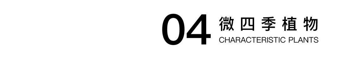 林间绿岛，人文雅居 | 深圳静安府-67