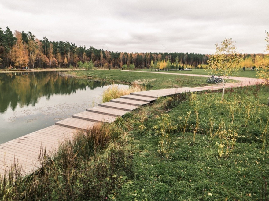 俄罗斯梅舍斯基森林景观丨不详-2