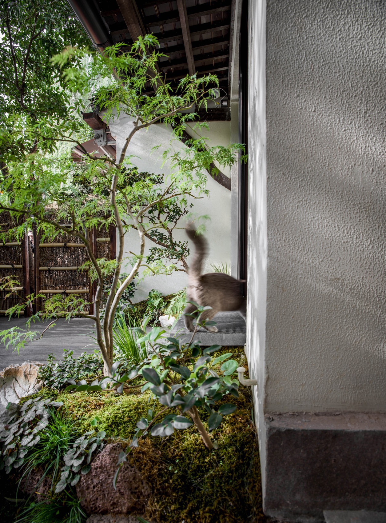 小河茶馆，杭州 / 房子和诗建筑事务所-107