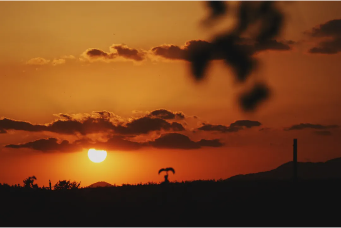 自然之韵 | 户粒咖啡的永智农场二期项目-39