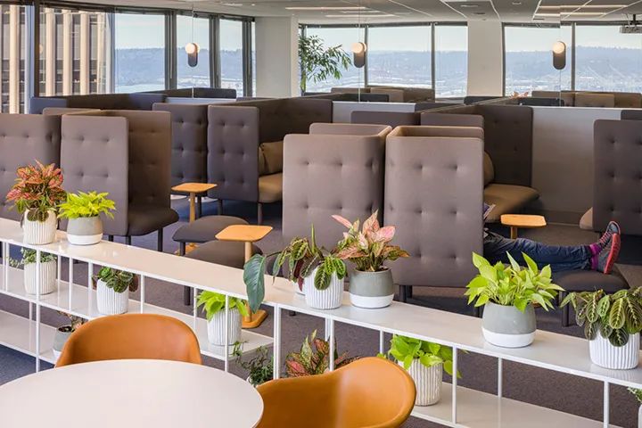 多彩医疗科技办公室,活力四溢的年轻态空间-48