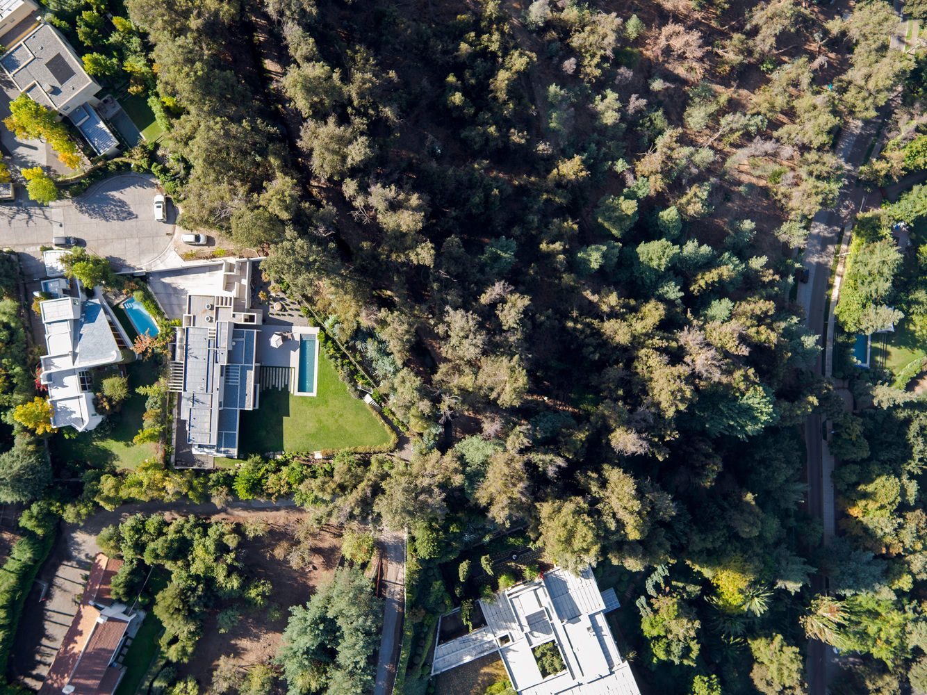 智利森林中的光影之家-11