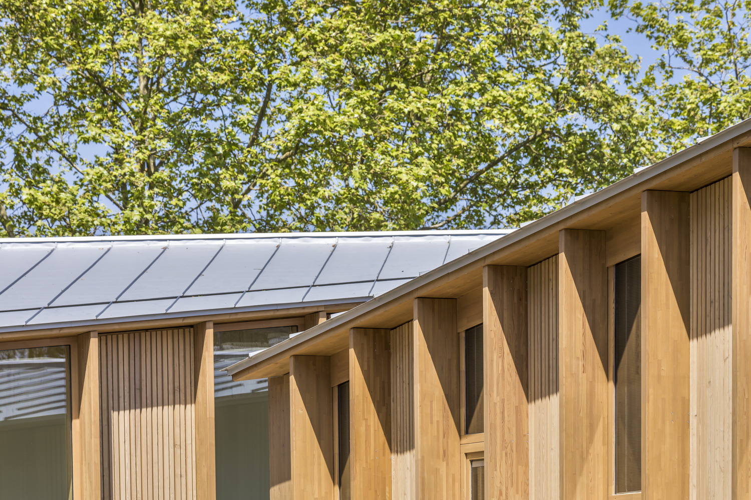 法国 Conflans-Sainte-Honorine 休闲中心与小学扩建项目-38