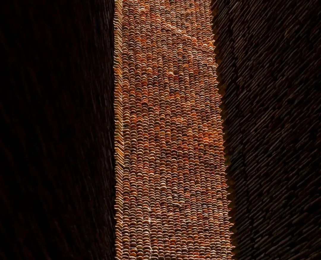 蒙杜库别墅丨几内亚丨Remy Aznar 和 William Tailly-75