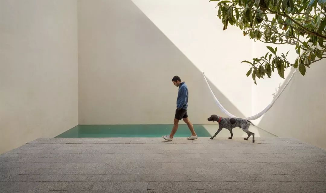 自然灵感,建筑生命——PPAA 的开放设计理念-79