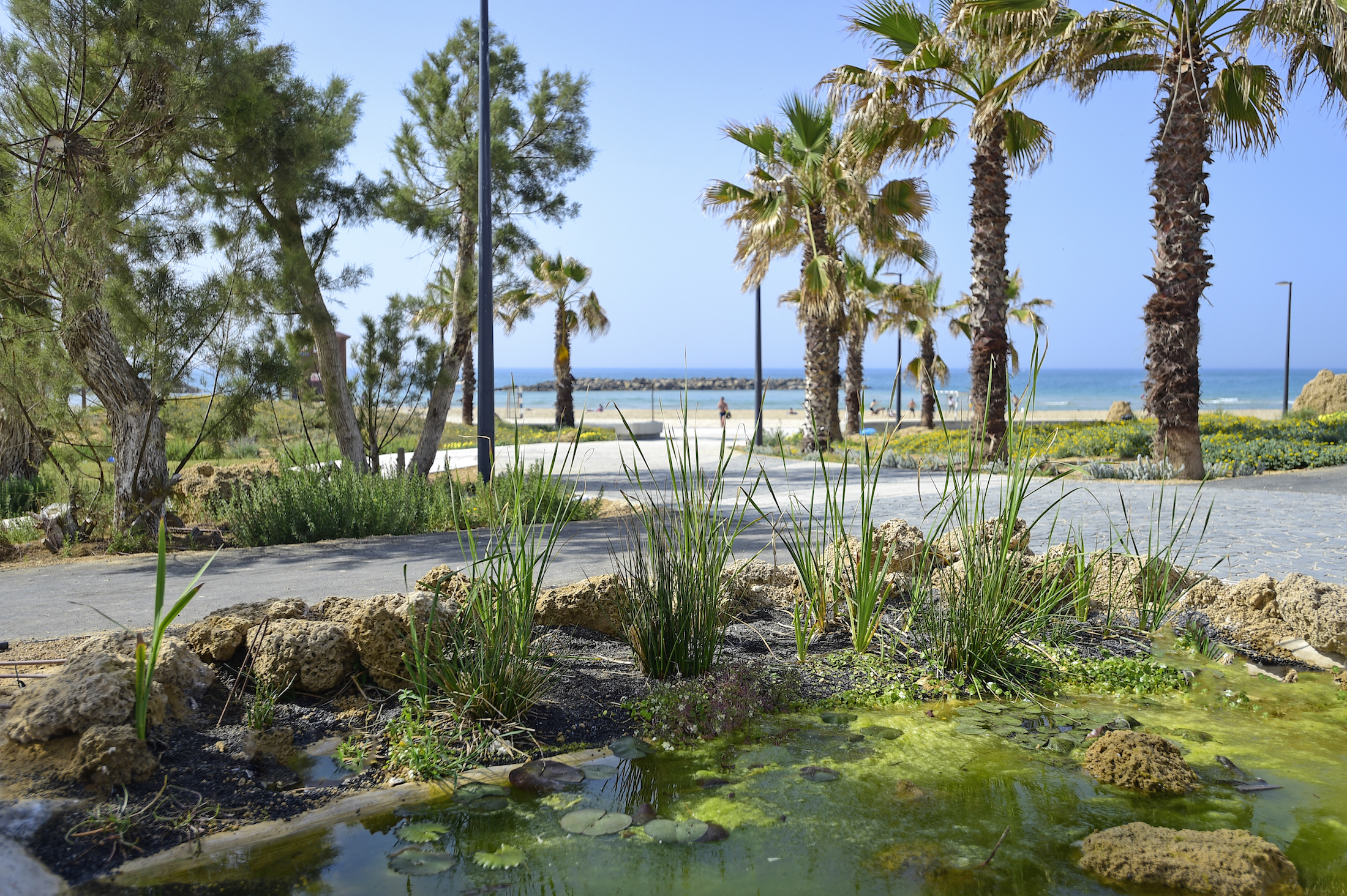 阿什克伦海洋公园 / Mayslits Kassif Roytman Architects-14