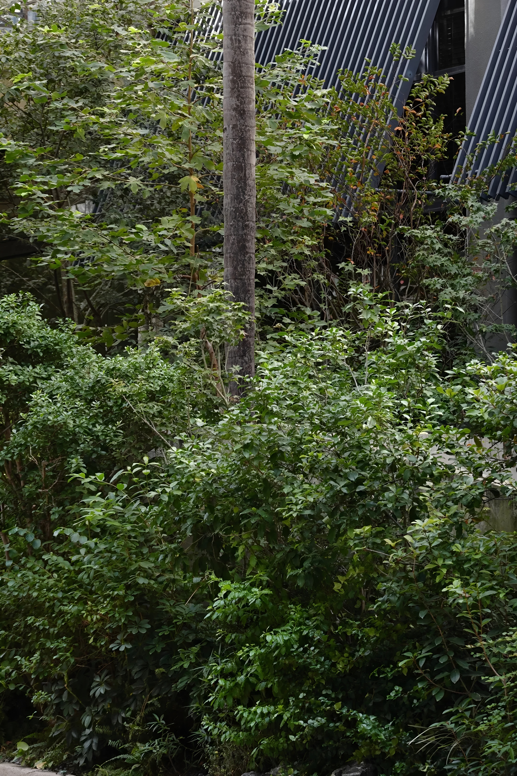 深圳茅台鉴藏馆丨中国深圳丨BLOOMDESIGN绽放设计-61