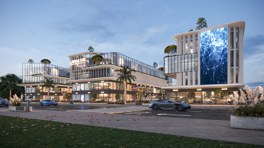 拉维达·怀特·新曼苏拉-3