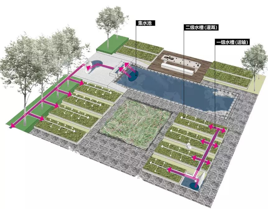 中南蚌埠江山府 | 种下一米菜园，收获心田一亩-87