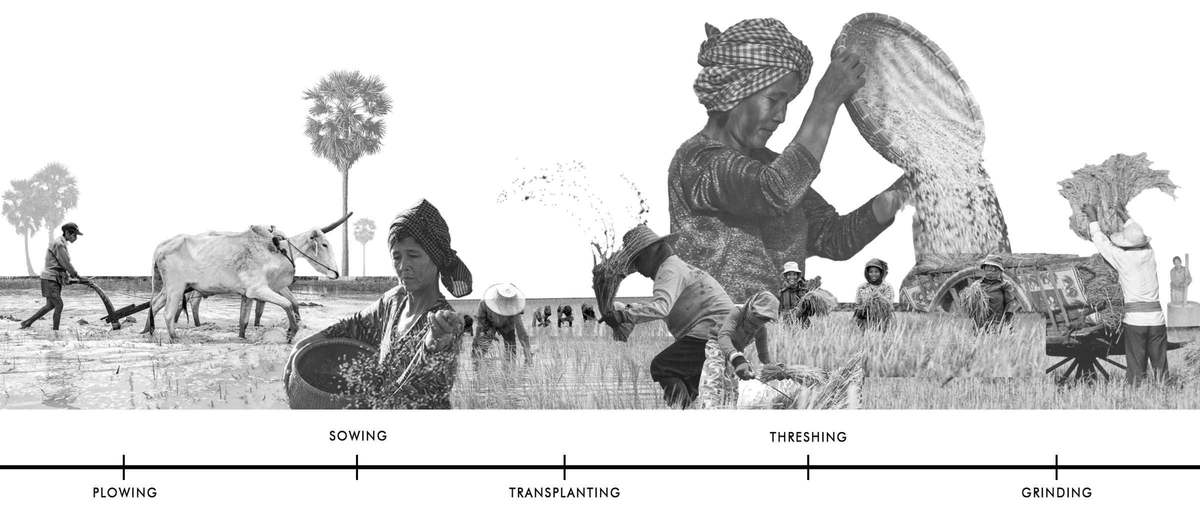 在屋顶下，在花园内丨柬埔寨丨Mak Molirithiruth 等-30