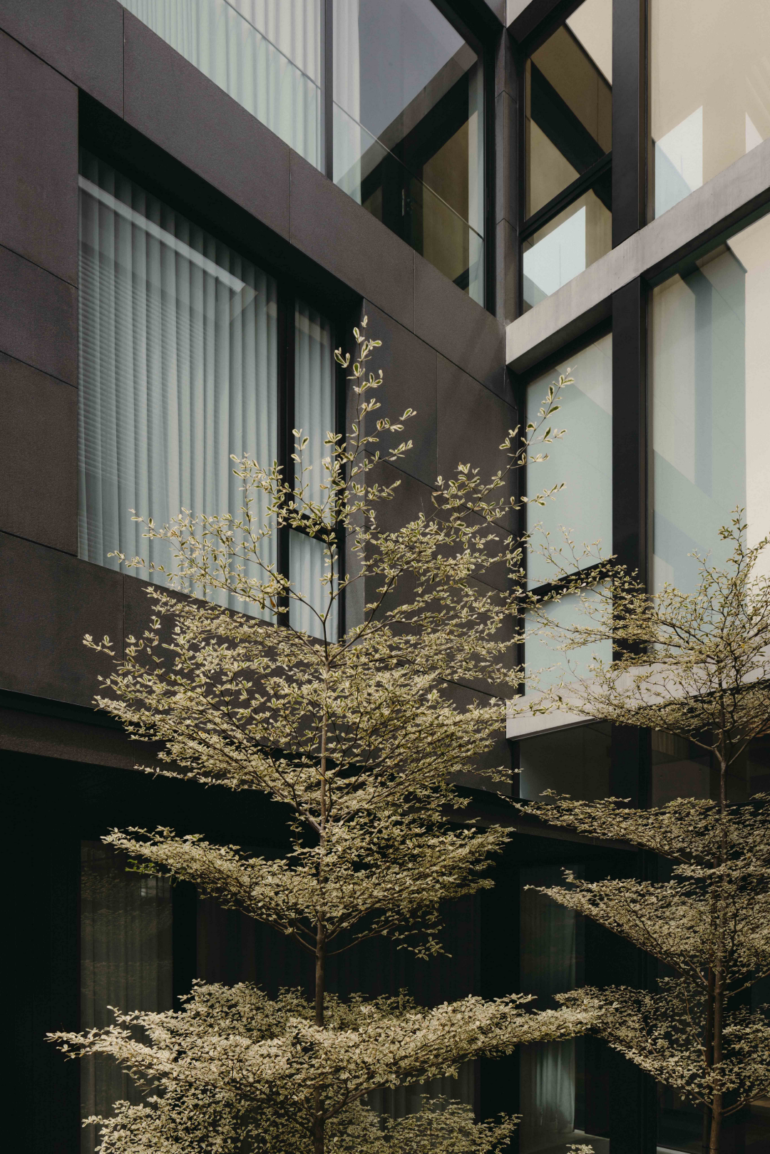 无烟煤屋丨新加坡丨Ming Architects-27