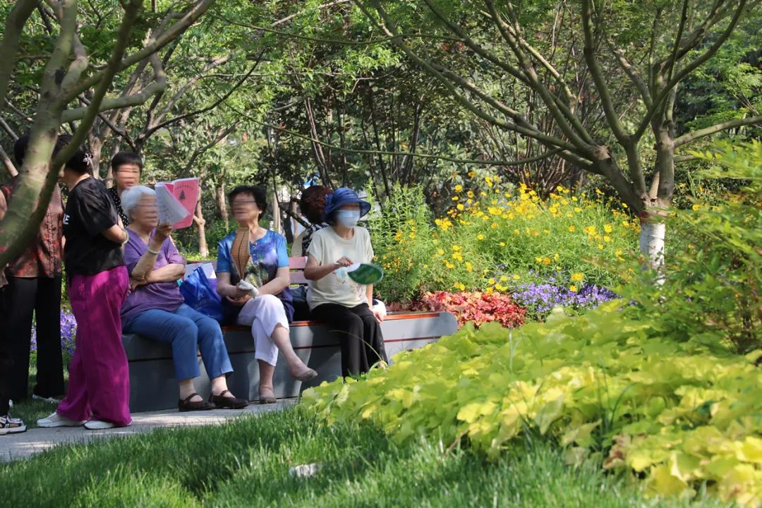 渭河咸阳城区段深化提升项目丨中国咸阳丨AECOM-27