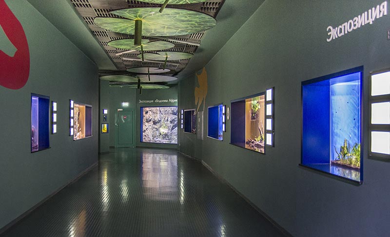 “Moskvarium”海洋馆丨俄罗斯莫斯科丨Aqua Logo Engineering-57