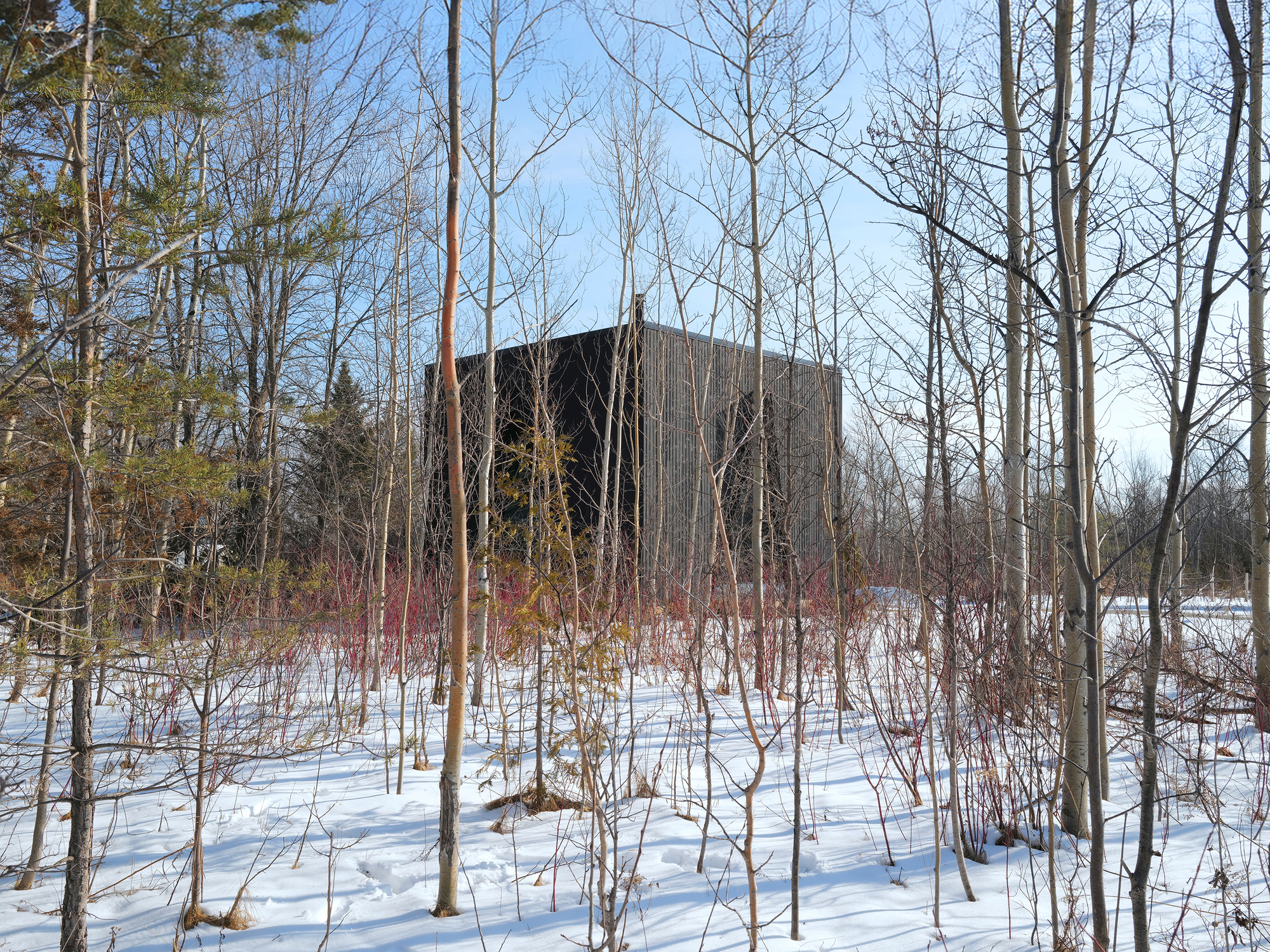 猫科滑雪小屋丨加拿大丨Atelier RZLBD-13