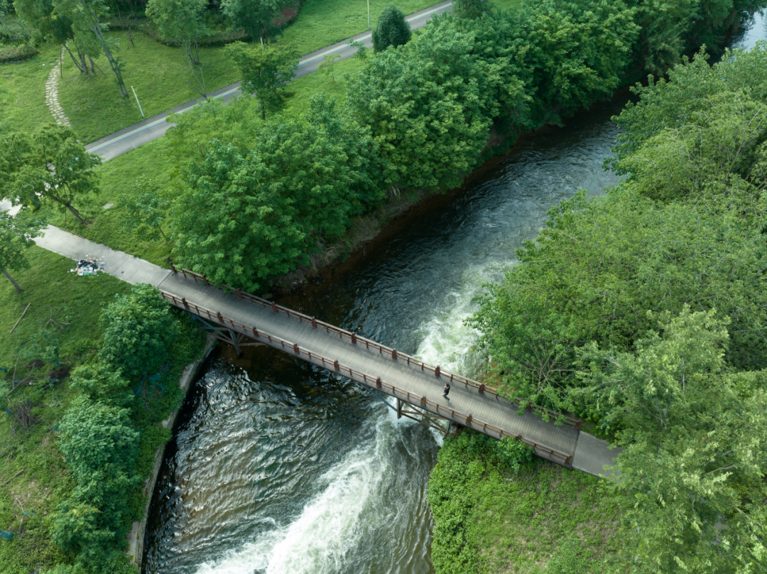 白鹭湾湿地公园自然探索基地丨中国成都丨上海柏熙标识有限公司-44