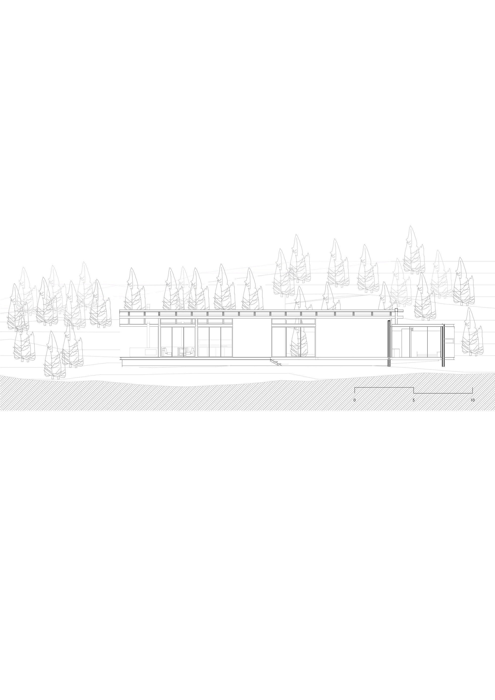 森林之家丨厄瓜多尔阿苏艾丨Abel Guzman Larriva,Juan Vintimilla-22