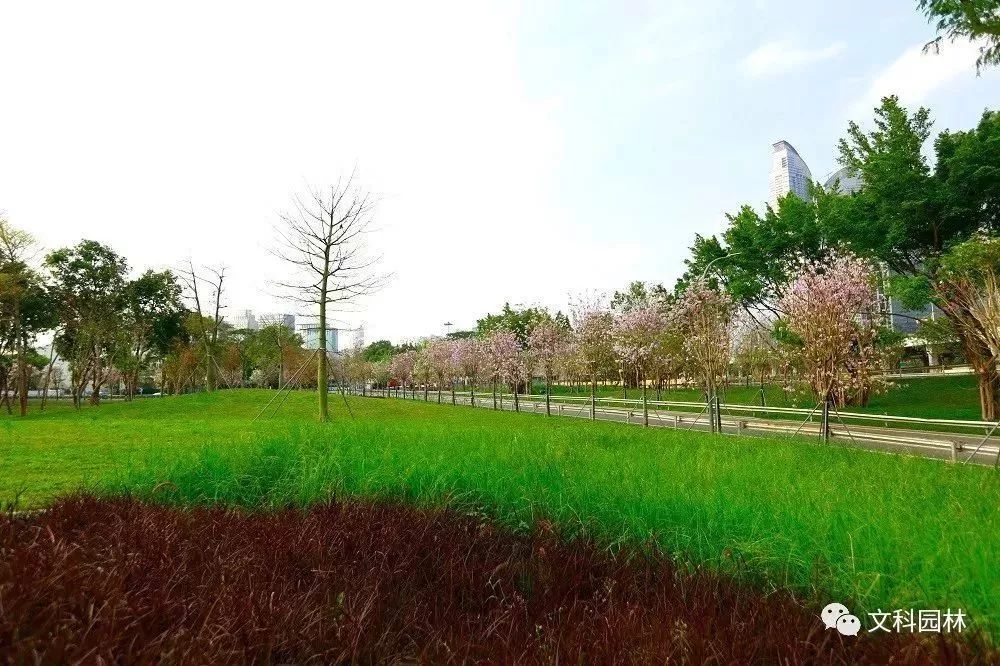 深圳花城建设 | 广深高速福田、皇岗出入口景观改造提升-65