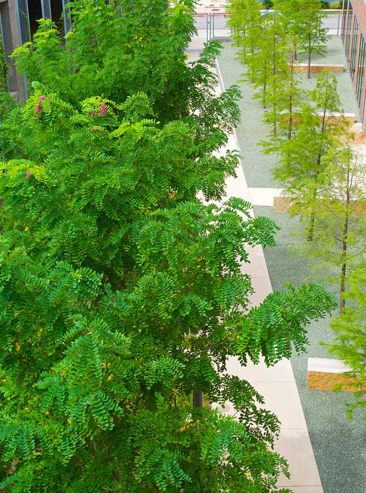 klabzuba总部办公景观-5