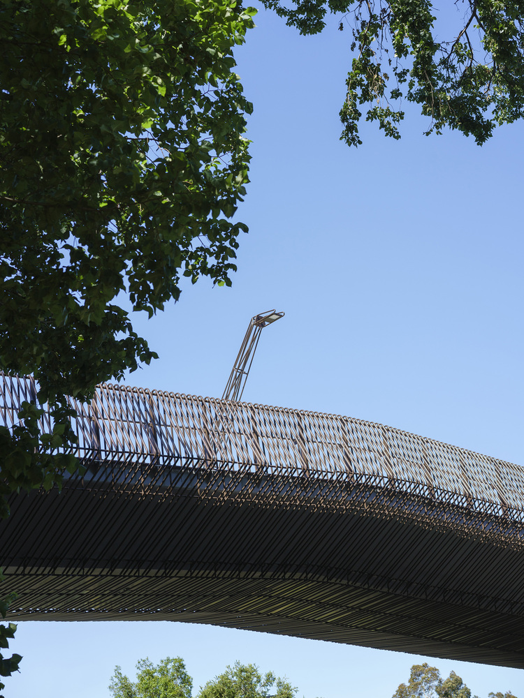 Tanderrum Pedestrian Bridge  John Wardle Architects  + NADAAA + Oculus-42