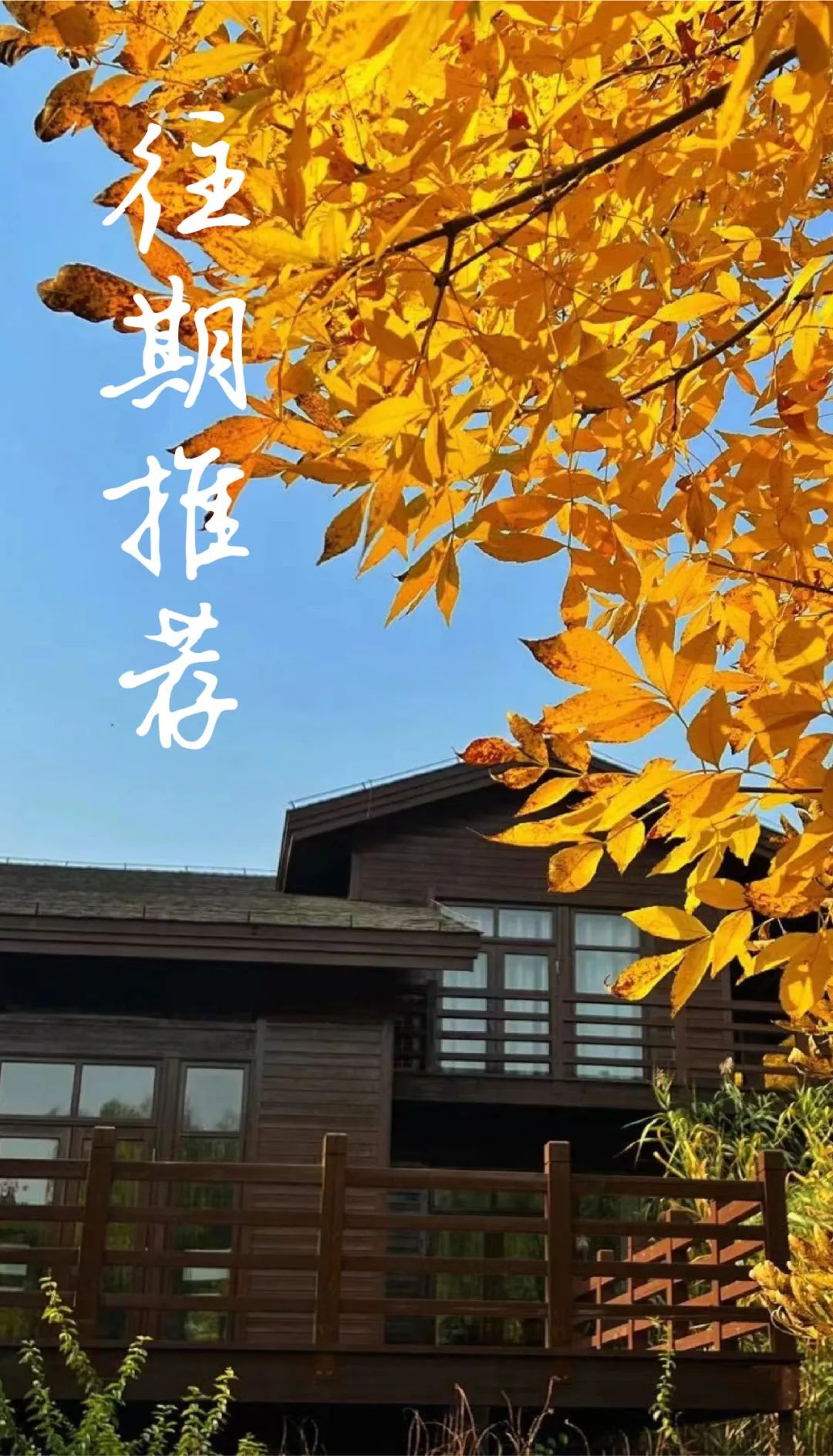 城市更新背景下的学院更新——热能文化空间的微更新实验-95