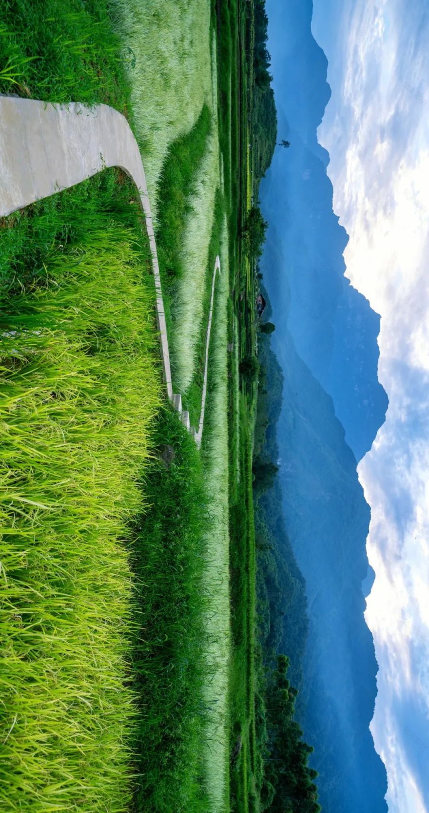 峨眉·高桥小镇丨中国眉山丨四川乐道景观设计有限公司-4