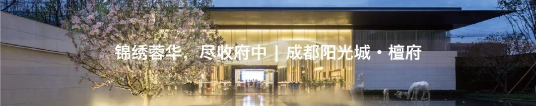 建业信阳府 | 致敬传统文化,缔造品质生活-150