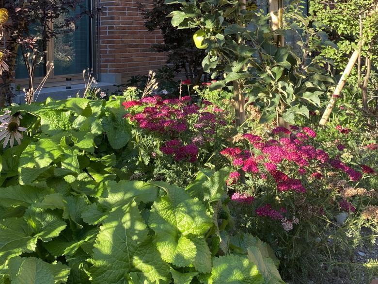 弗赖拉乌姆 艾格比尔丨瑞士-20